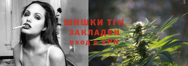 молекула духа Гусев