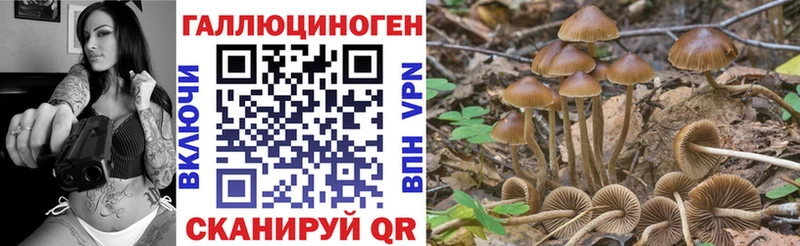 Псилоцибиновые грибы мухоморы  Южа 